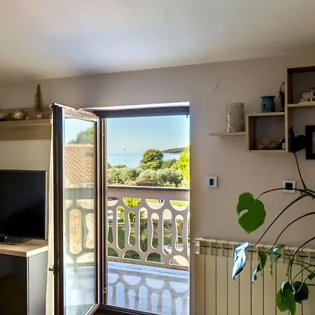Mir Fazana